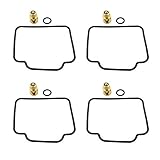 Vergaser Reparatursatz in Erstausrüsterqualität