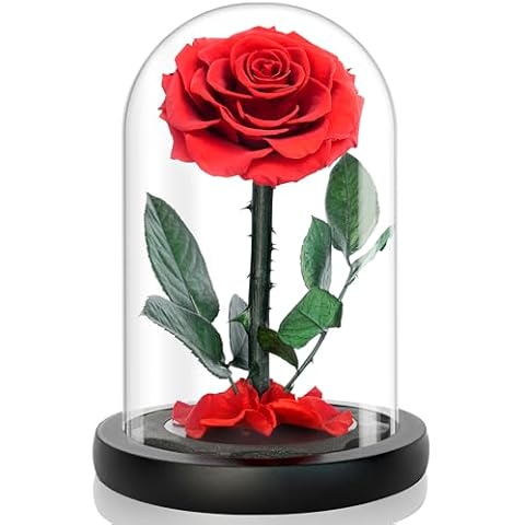 YOJOYI Everlasting Elegance - Enchanting Rose in Glass Dome, Eternal Flower, Preserved Roses That Last Forever - Perfect Gothic Gift for Women, Infinity Rose in Elegant Display Cover