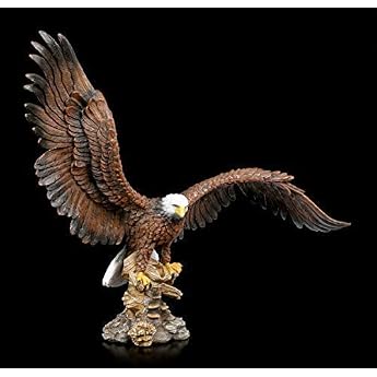 Figuren Shop GmbH Wei kopfseeadler mit ausgebreiteten Fl geln Adler-Dekofigur handbemalt