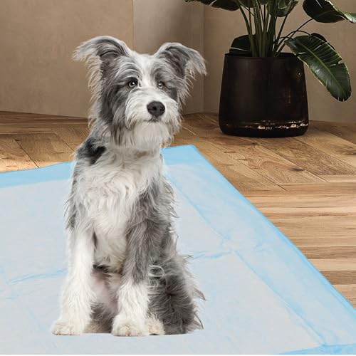 Image of Cudlie Training Pads for Dogs, 50 Count ,22 inchx22 inch| Puppy Pee Pads for Dogs | Absorbent Dog & Puppy Supplies for Dog Training and House Training