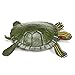 Safari Ltd Incredible Creatures Red-Eared Slider Turtle