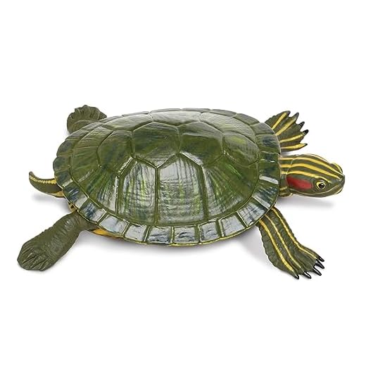 Safari Ltd. Red-Eared Slider Turtle Figurine - Realistic 5.25" Model Figure - Educational Toy for Boys, Girls, and Kids Ages 18M+
