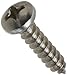 Pentair 98212800 18-8 Stainless Steel Screw Replacement Pool and Spa Light