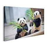 Attire tous les regards : nos images sont plus qu'une simple décoration murale; elles sont de véritables accroche-regards, rendant votre pièce unique. Laissez-vous inspirer par nos œuvres d'art et donnez à vos pièces une atmosphère particulière.