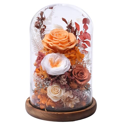 lovenfold Flowers for Delivery Prime Preserved Flowers Rose in Glass Dome,Orange Rose...