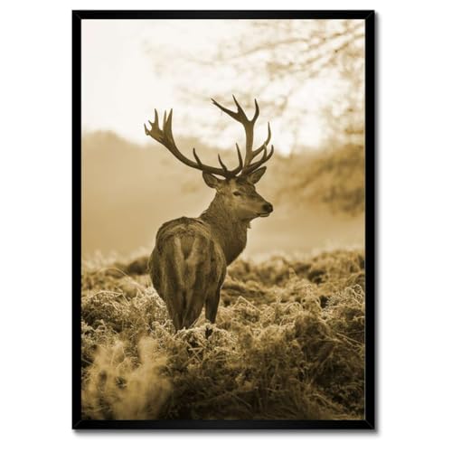 Cerf dans la forêt poster avec cadre blanc déco murale salon