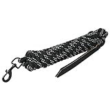 HILASON 25 ft Western Horse Nylon Lead Rope w/snap and Latigo Ends | Lead Ropes for Horses