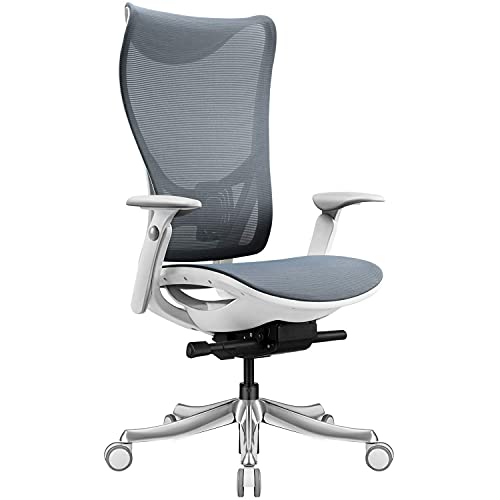 Hot Deals Furmax High Back Office Ergonomic Desk Executive Recline Lock Head Mesh Swivel Computer Chair with Adjustable Seat Depth Lumbar Support and Arms, Blue