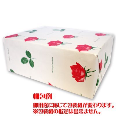 Amazon.co.jp: 三立製菓 缶入カンパン 100g×12個 : 食品・飲料・お酒