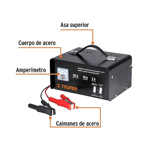 Auxilio Vial, Electronics cargador baterías Marca TRUPER (2)