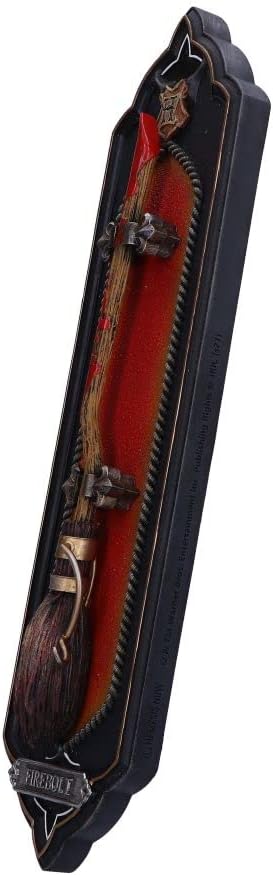 Nemesis Now Officially Licensed Harry Potter Firebolt Wall Plaque, 34.5cm, Black