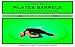 Pilates BARRELS Personal Studio Guide