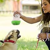 MAISITOO 19-teiliges Set Hundeseilspielzeug, vermeidet Langeweile und Angst bei Welpen, Zahnungsset für kleine, mittelgroße und große Hunde, Baumwollseil, Quietschspielzeug, interaktives Kauspielzeug,