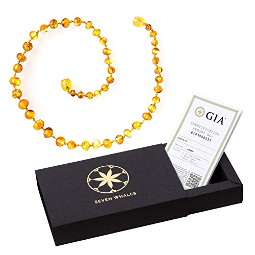 Seven Whales Natural Baltic Amber Adult 18 Inch Necklace – Polished Honey Baroque