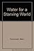 Water for a Starving World (English and Swedish Edition)