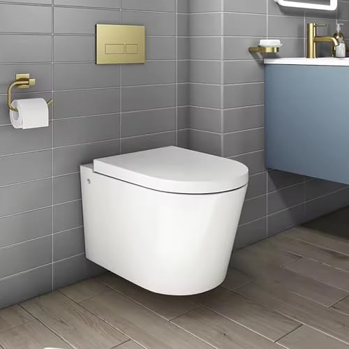 Robanmoa Rimless Wall Hung Toilet with Soft Close Seat - White Ceramic