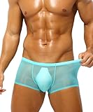 PAIZH Mens Sexy See Through Boxer Briefs Ice Silk Trunks Underwear Ultra Thin Soft Sheer Bulge Pouch Boxer Shorts Sky Blue M