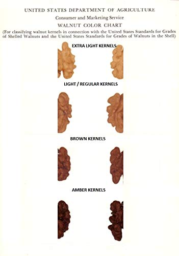 Image of 3p Amson Kashmiri Brown Quarter Walnut Kernels Without Shell, 4 X 250 g