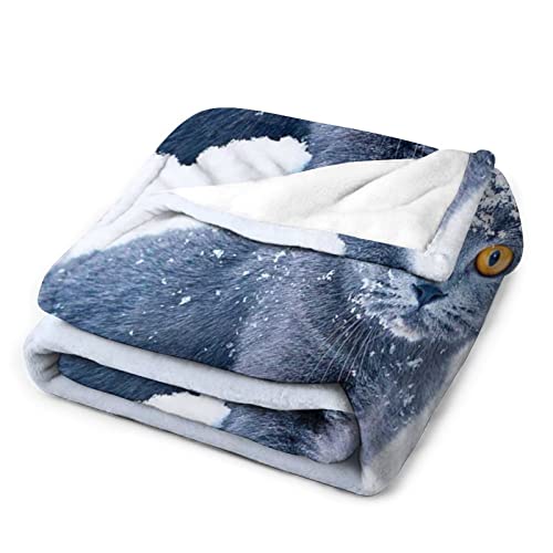 Couverture pelucheuse pour lit : la solution contre les frissons sur le canapé