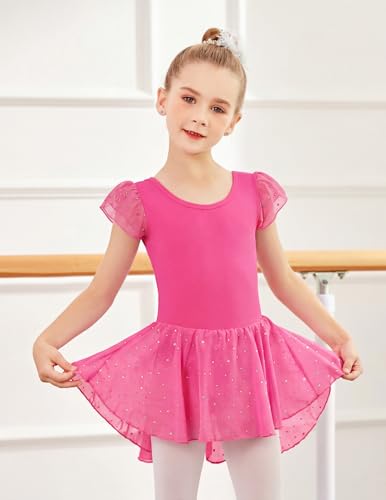 Image of Arshiner Girls Shiny Ruffle Sleeve Ballet Leotard with Skirt Criss-Cross Back Dance Dresses