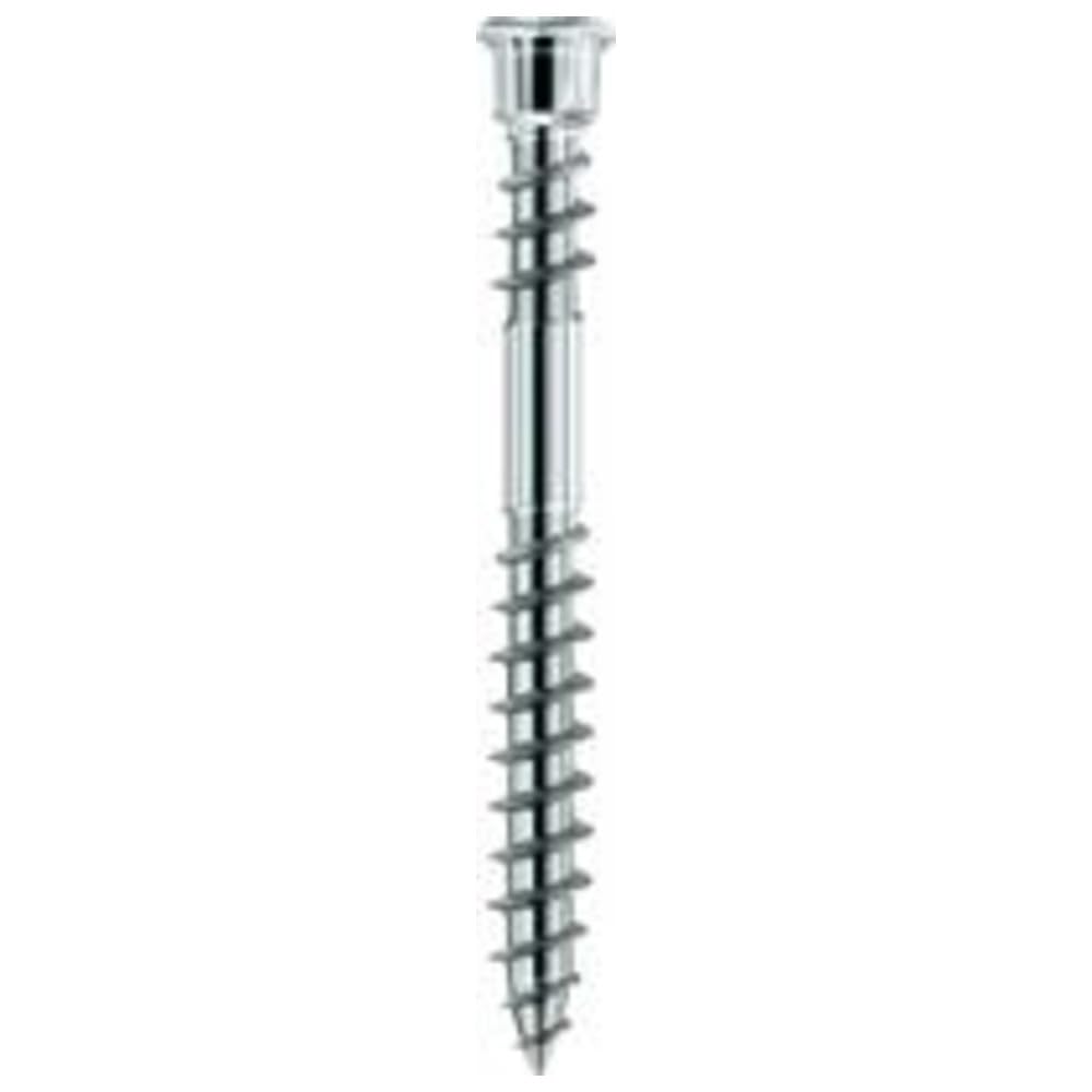 Format 4250207432302 – Terrassotec Edelstahl gehñrtet 5.5 x 70 TX25