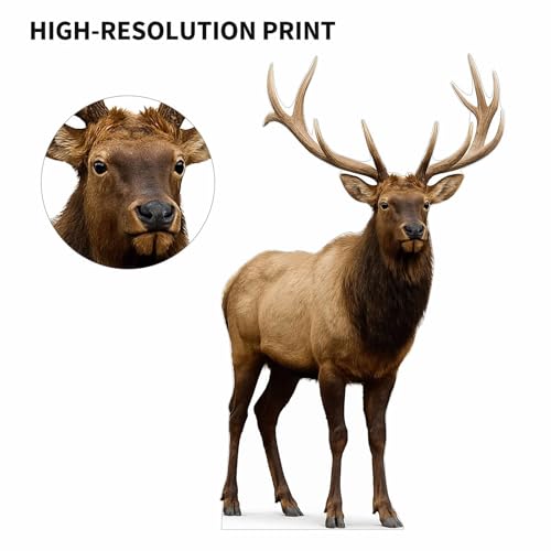 Image of Elk 2FT Life Size Cardboard Cutout - A Fun Animal Standup for Photo Booths, Birthday Parties, and Events