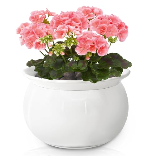 LITUDISO African Violet Pots, 6 Inch Self Watering...