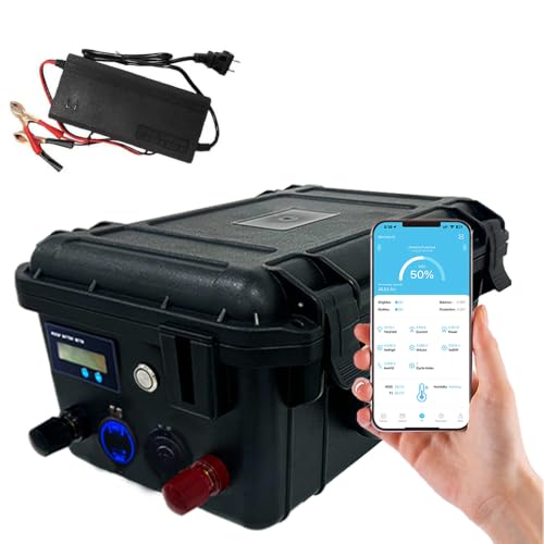 SaiJiaoYang LiFePO4 12V 100Ah, Marine Batterie Lithium avec Bluetooth et Chargeur BMS 100A Intégré 6000+ Cycles Pour Bateau, Camping Car, Pêche à la Ligne, Moteur de Traîne