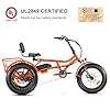 ADDMOTOR ARISETAN Electric Trike for Adults, 750W Rear Motor Electric Tricycle, 85MI 48V 20AH, 380lbs, 20'' Semi-Recumbent E-Trike, UL2849 3 Wheel Electric Bike, Parking Brake & Differential, Orange #2