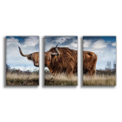 Poster animaux sauvages des Highlands toile décoration murale 50x75 cm