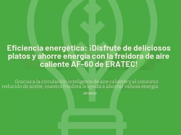ERATEC AF-66 Freidora de aire caliente XXL 5,5 L 1500W Air Fryer sin aceite Freidora de aire caliente con pantalla LED táctil y 10 programas preestablecidos, función de temporizador para sus platos