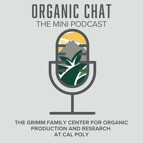 Organic Chat: Part 16 - Amanda Felder