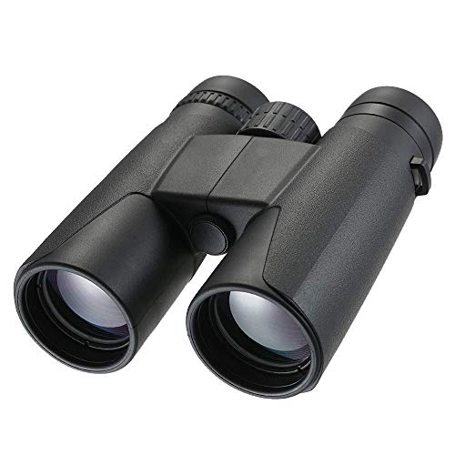 Jumelles 10x42 optiques multicouches antibuée : ne manquez plus aucun détail sous la pluie