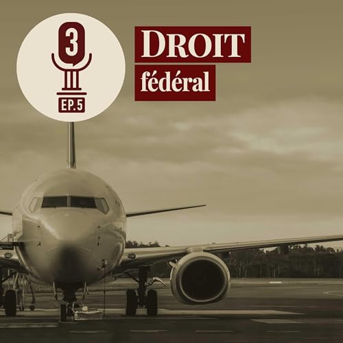 Droit f&eacute;d&eacute;ral (Association du transport a&eacute;rien international c. Canada (Office des transports)