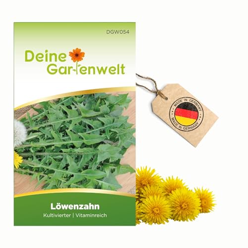 Löwenzahn Kultivierter Samen - Taraxacum officinale - Löwenzahnsamen - Kräutersamen - Saatgut für 100 Pflanzen Löwenzahn Kultivierter Samen - Taraxacum officinale - Löwenzahnsamen - Kräutersamen - Saatgut für 100 Pflanzen
