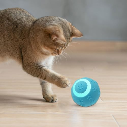 Bola interactiva para gatos recargable con dos puntas intercambiables para juego interior 8