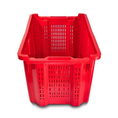 FCI - 10 cajas para aceitunas apilables, aptas para frutas y cosecha de aceitunas, 10 unidades (10)