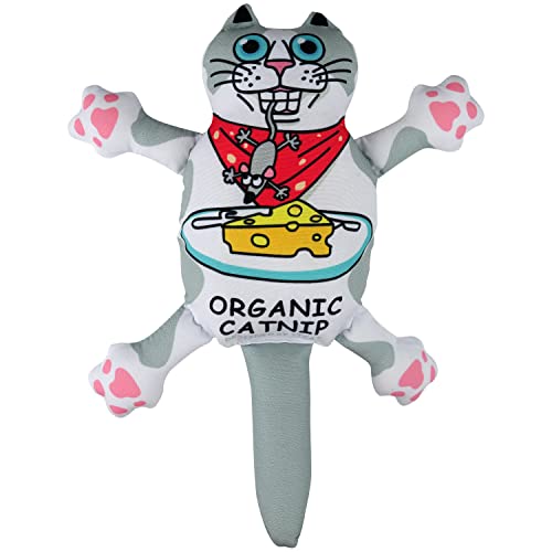 TTcat Organic Catnip Pillow for Cats & Kittens,Cat Chew Toy for Indoor Cats,Catnip Kicker Toys,White Cat…