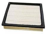 Champion CAP7651 Engine Air Filter