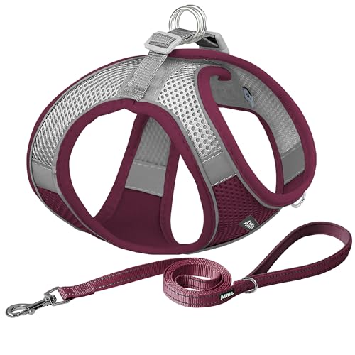 Image of AIITLE Escape Proof Dog Harness - Xmas Step in Adjustable Dog Harness No Choke Over with Breathable Mesh and Quick-Release Buckle - Outdoor Walking, Training for Medium Dogs Burgundy XL