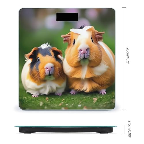 Báscula Digital Cute Guinea Pigs con Vidrio Templado miniatura 2
