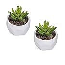 Miniature White Ceramic Faceted Succulent Planters, Slanted Top Pots, Set of 2