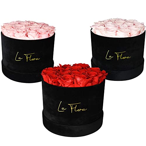 La Flora Preserved Roses For Delivery Prime- 14-16 Forever Roses In A Box That Last A Year For Gifts On Special Occasion #TOP2
