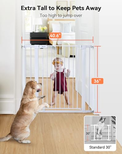 image for COMOMY 36