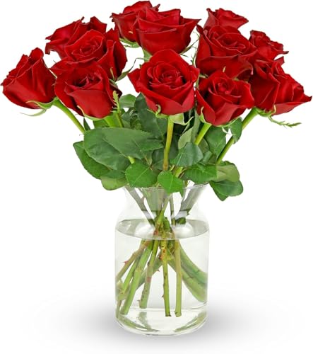 Benchmark Bouquets - Red Roses Bouquet -...