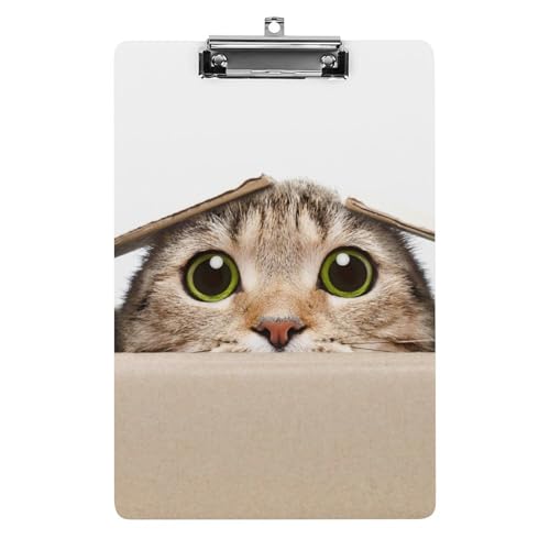 Nbv{[h A4 c^ 킢 L t@C{[h Ǌ|  ₷ v{[h Ď^т₷  [ cpbh pi  wZ ƒpoC_[