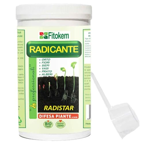 FITOKEM Radistar - Hormonas de enraizamento em pó (800 g), enraizante para esteixas, fortalecedor de raízes, estimula a produção e o crescimento natural das raízes (800 g)