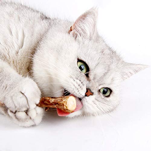Onebarleycorn Katzenminze Sticks für Katzen, Matatabi Stick Katze Sticks Spielzeug Matabi katzensticks Katzenspielzeug für Zahnpflege,20 Stück