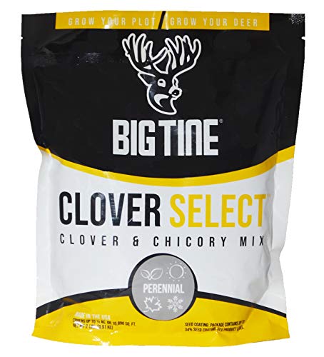 Scott Pet Big Tine Clover Select 2 lb, Brown (BT36)