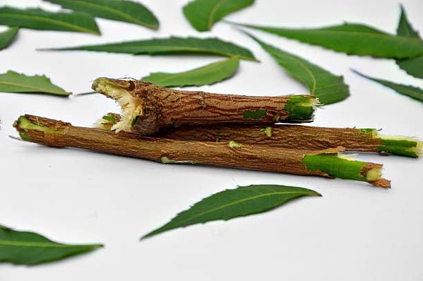 Neem Healthy Stick Herbal Dental Twigs for Teeth Cleaning and Mouth Care, Size 6 Inch Natural Oral Hygiene (20 Healthy Stick)-picture-32